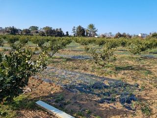 제주시 조천읍 함덕리 매물 대표 이미지