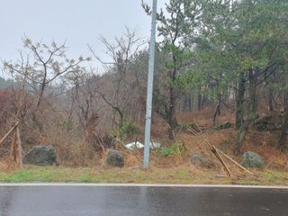 제주시 애월읍 소길리 산 매물 대표 이미지