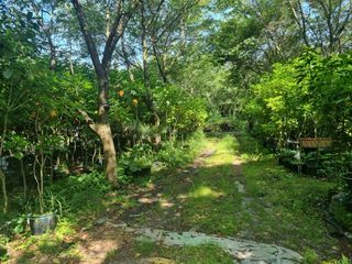 제주시 구좌읍 덕천리 매물 대표 이미지