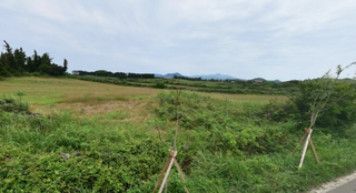 제주시 한림읍 금악리 매물 대표 이미지