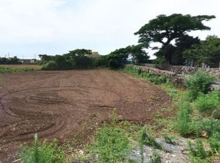 제주시 한림읍 금악리 매물 대표 이미지