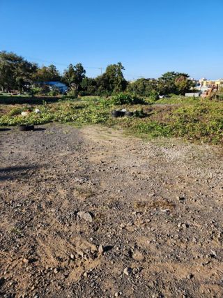 제주시 노형동 매물 대표 이미지