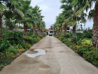 서귀포시 안덕면 덕수리 매물 대표 이미지