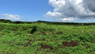 서귀포시 표선면 성읍리 매물 대표 이미지