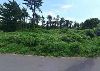 제주시 애월읍 유수암리 매물 대표 이미지