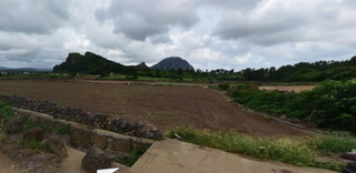 서귀포시 대정읍 상모리 매물 대표 이미지