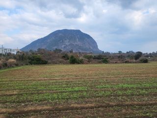 서귀포시 안덕면 사계리 매물 대표 이미지