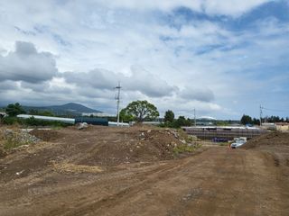 서귀포시 강정동 매물 대표 이미지