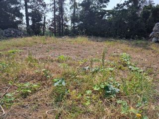 서귀포시 남원읍 태흥리 매물 대표 이미지