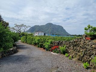 서귀포시 안덕면 덕수리 매물 대표 이미지