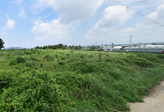 제주시 애월읍 봉성리 매물 대표 이미지