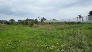 서귀포시 대포동 매물 대표 이미지