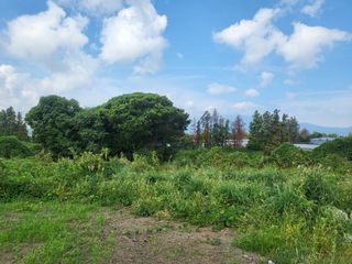 서귀포시 남원읍 위미리 매물 대표 이미지