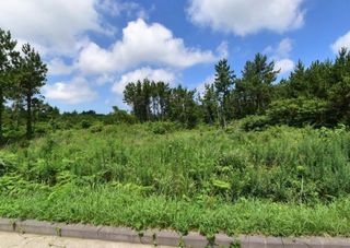 제주시 애월읍 봉성리 매물 대표 이미지