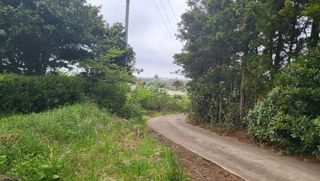 제주시 구좌읍 평대리 매물 대표 이미지