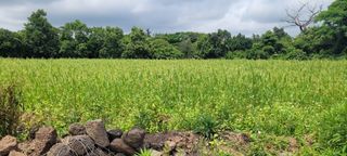 제주시 한경면 청수리 매물 대표 이미지