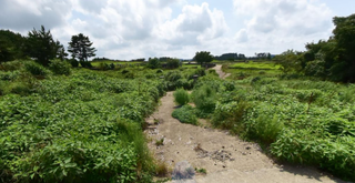 제주시 해안동 매물 대표 이미지