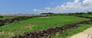 제주시 한경면 판포리 매물 대표 이미지