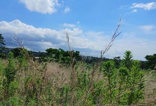 제주시 노형동 매물 대표 이미지