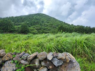제주시 조천읍 대흘리 매물 대표 이미지