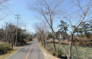 제주시 한경면 조수리 매물 대표 이미지