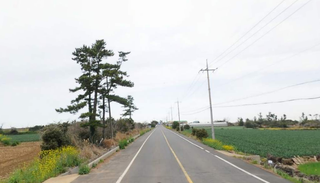 서귀포시 대정읍 영락리 매물 대표 이미지