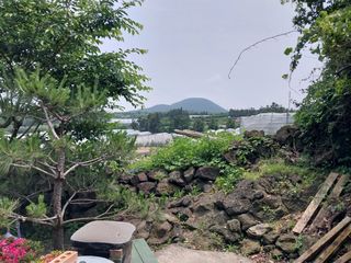 제주시 조천읍 와산리 매물 대표 이미지