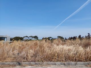 제주시 구좌읍 송당리 매물 대표 이미지