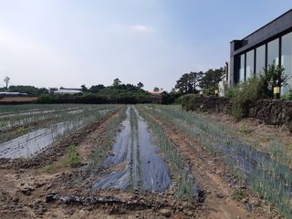 제주시 애월읍 고내리 매물 대표 이미지
