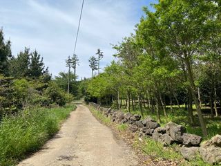 제주시 용강동 매물 대표 이미지