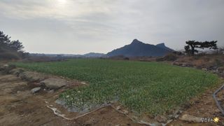 서귀포시 안덕면 사계리 매물 대표 이미지