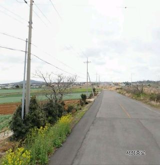 서귀포시 대정읍 영락리 매물 대표 이미지