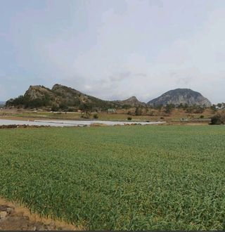 서귀포시 대정읍 상모리 매물 대표 이미지