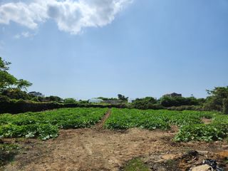 제주시 조천읍 조천리 매물 대표 이미지