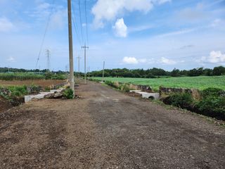 제주시 조천읍 대흘리 매물 대표 이미지