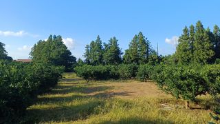 제주시 봉개동 매물 대표 이미지