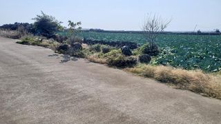 서귀포시 대정읍 무릉리 매물 대표 이미지