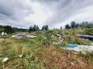 제주시 애월읍 소길리 산 매물 대표 이미지