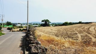 제주시 애월읍 어음리 매물 대표 이미지