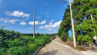 제주시 조천읍 선흘리 매물 대표 이미지