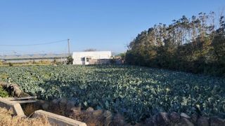 서귀포시 대정읍 무릉리 매물 대표 이미지