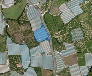 서귀포시 표선면 세화리 매물 대표 이미지