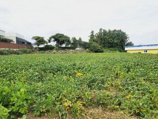 제주시 애월읍 광령리 매물 대표 이미지