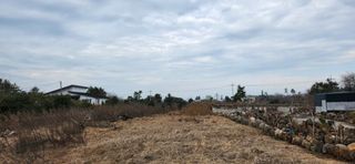 제주시 한경면 낙천리 매물 대표 이미지