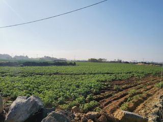 서귀포시 대정읍 신도리 매물 대표 이미지