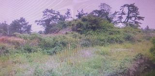 제주시 한림읍 상대리 매물 대표 이미지