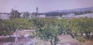 서귀포시 도순동 매물 대표 이미지