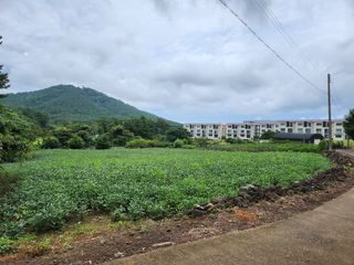 제주시 오라이동 매물 대표 이미지