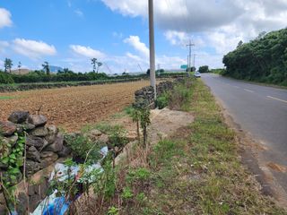 서귀포시 대정읍 보성리 매물 대표 이미지