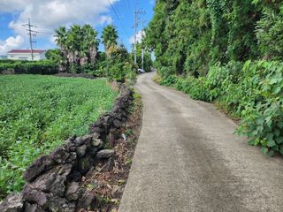 서귀포시 안덕면 덕수리 매물 대표 이미지